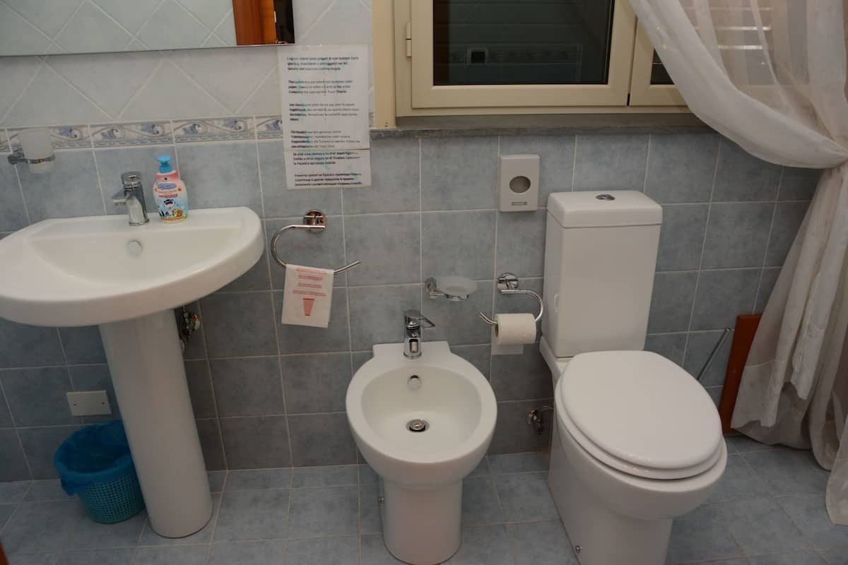 Deluxe suite, balkon | Badkamer | Een douche, gratis toiletartikelen, een haardroger, een bidet