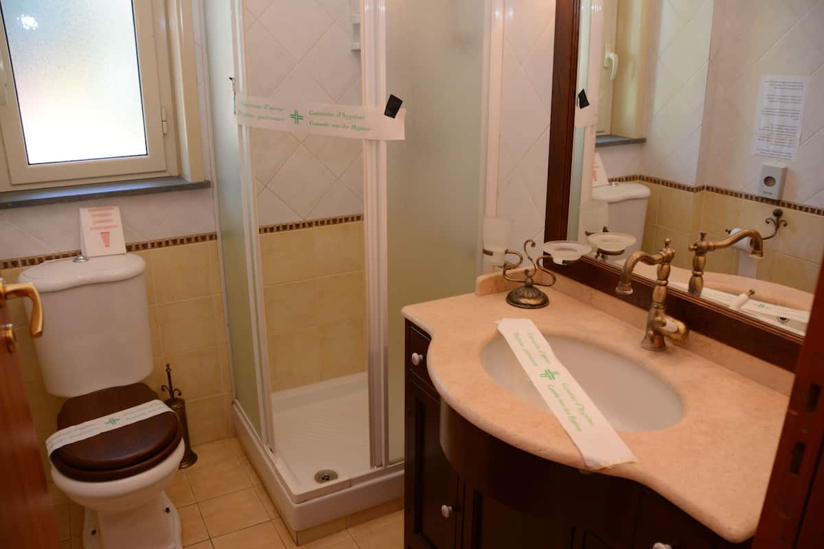 Habitación empresarial - 1 cama matrimonial o 2 individuales, baño privado (External) | Baño | Regadera, amenidades de baño gratuitas, secadora de cabello, bidet 