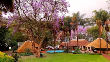 Jardim