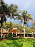 Double Room Single Use | Garden view