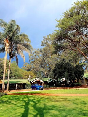 Garden view