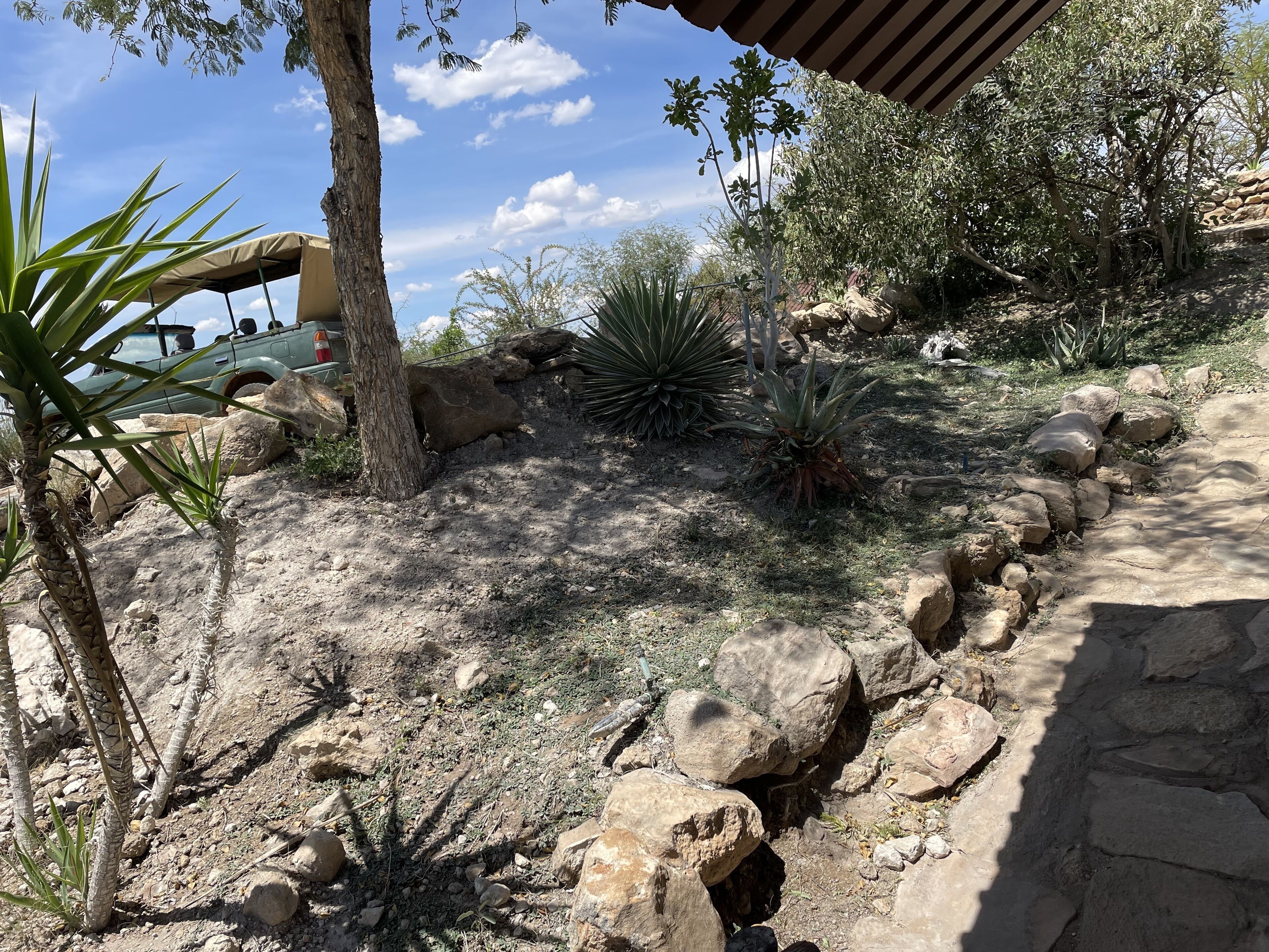 A rocky outdoor area with large boulders, a palm tree, and a car parked under a shelter.