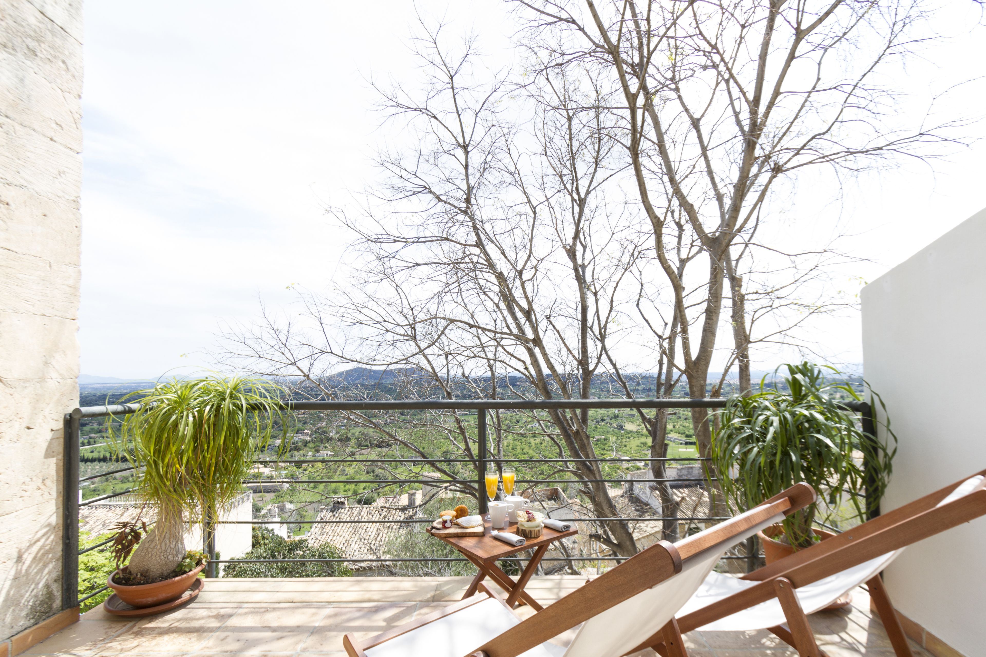 Deluxe suite, terras | Terras