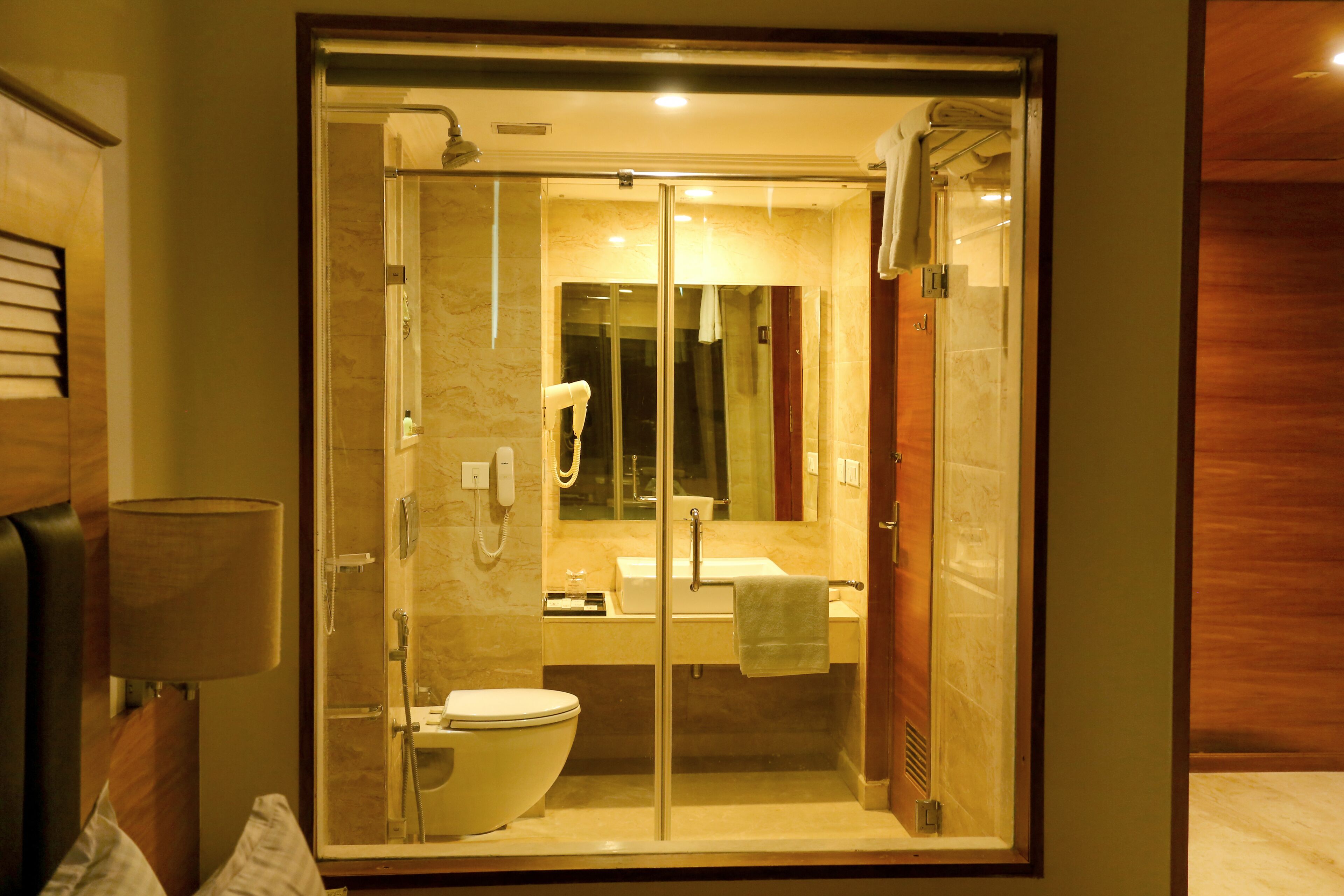 A modern bathroom with a glass-enclosed shower, a toilet, a sink, and a mirror.