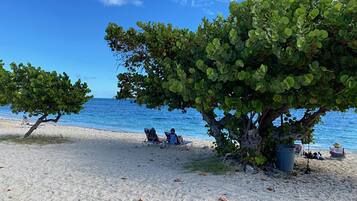 Een strand met een grote boom die schaduw biedt, een heldere blauwe lucht en de oceaan op de achtergrond.