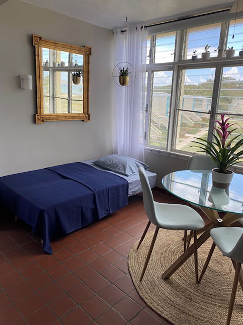 A small room with a single bed, a table with chairs, a window with curtains, and a potted plant.