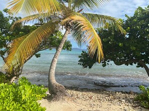 En la playa y playa de arena blanca 
