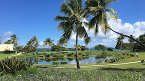 A tropical garden with palm trees, a pond, and purple flowers.