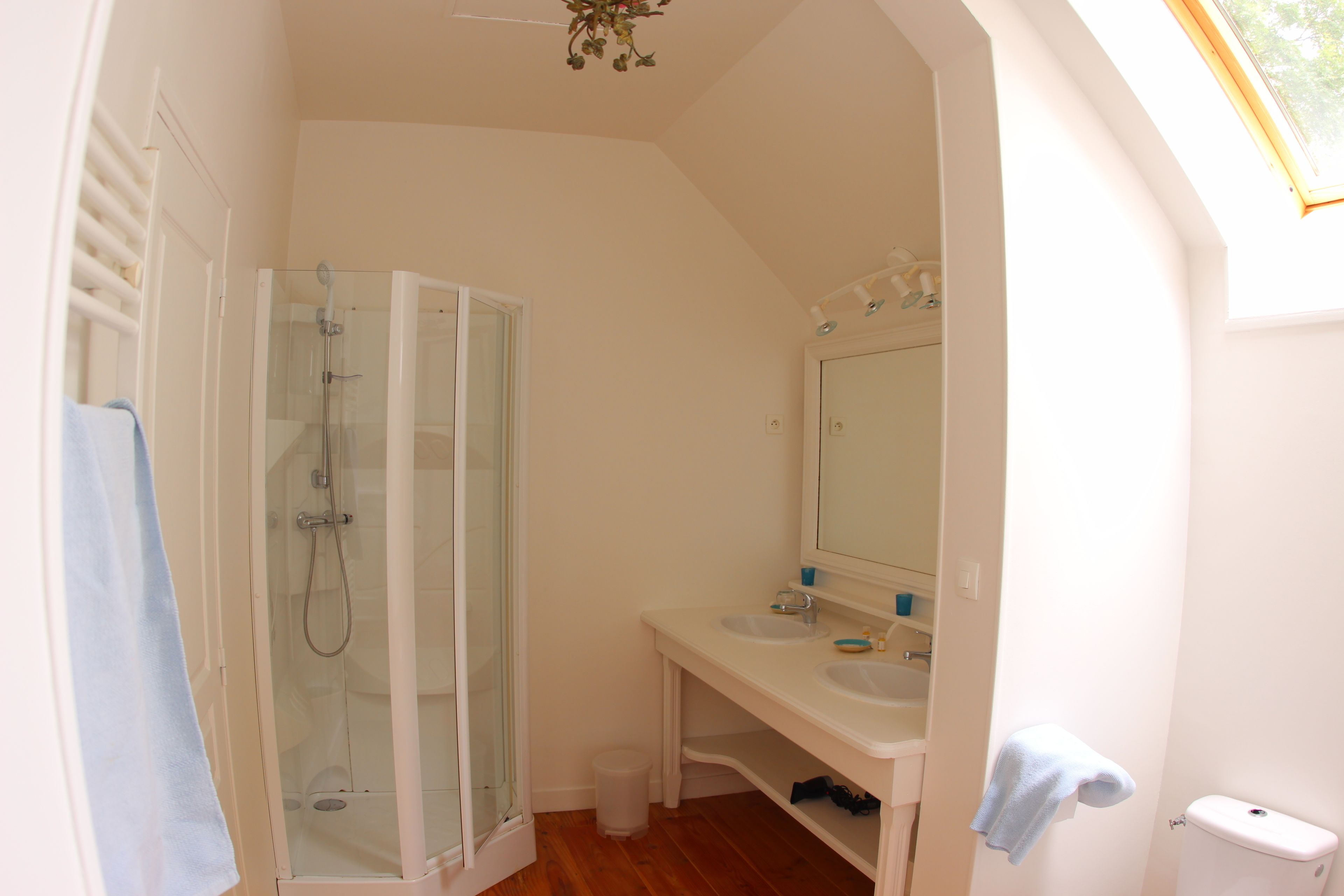 A bathroom with a glass-enclosed shower, a sink, a mirror, and a toilet.