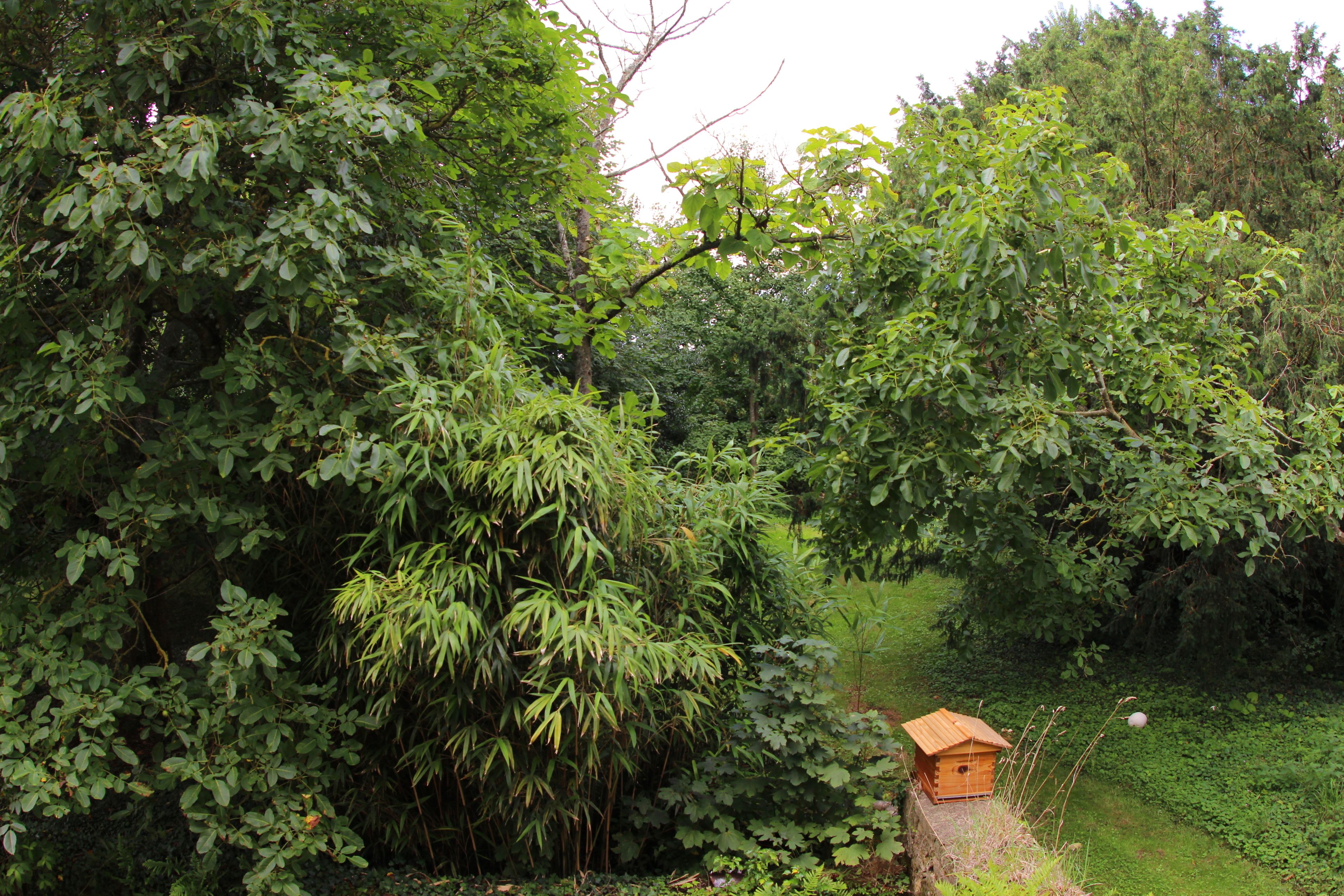 A wooden birdhouse in a lush garden surrounded by dense foliage.