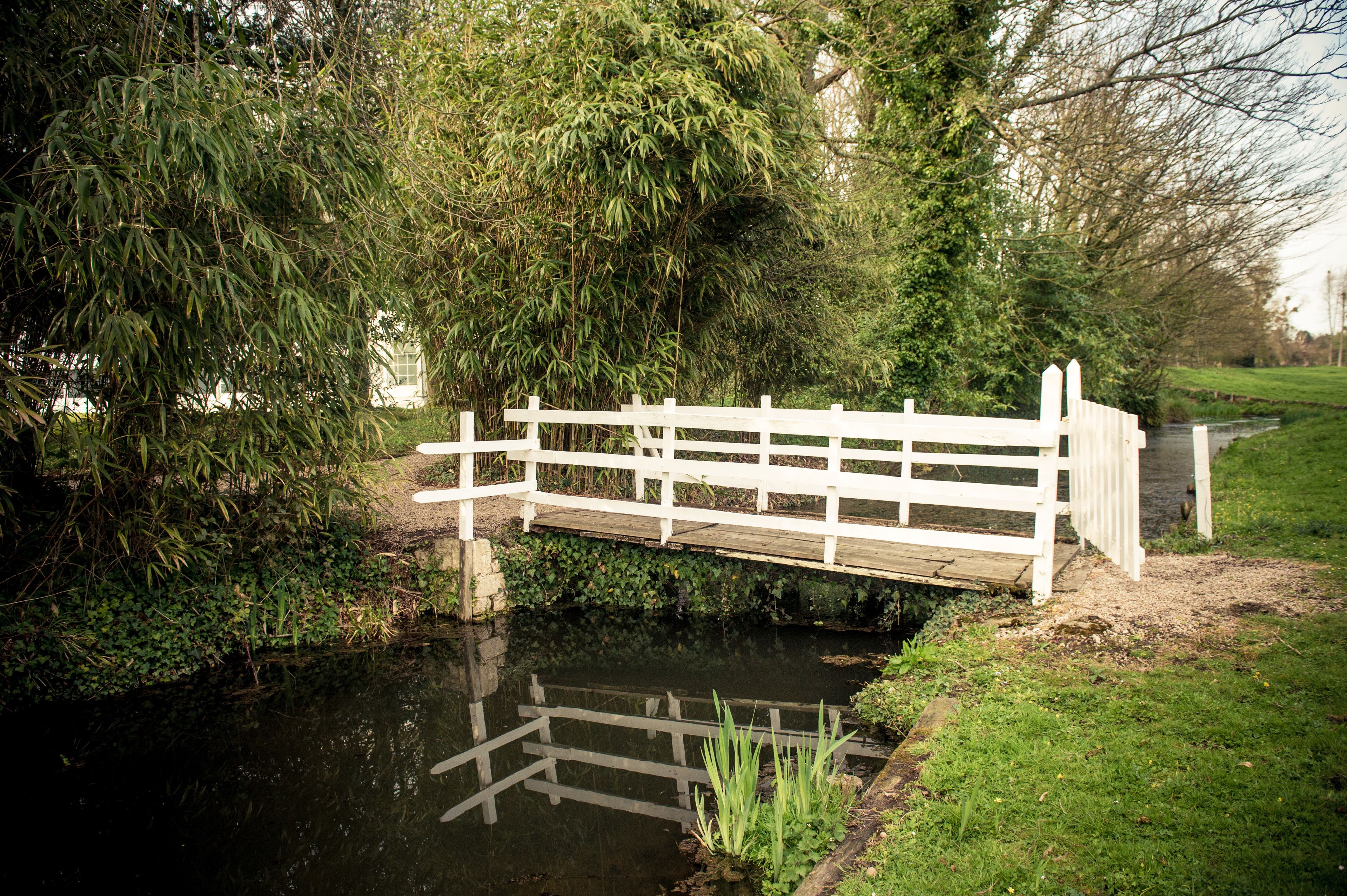 Un puente de madera sobre aguas tranquilas, rodeado de abundante vegetación y árboles.