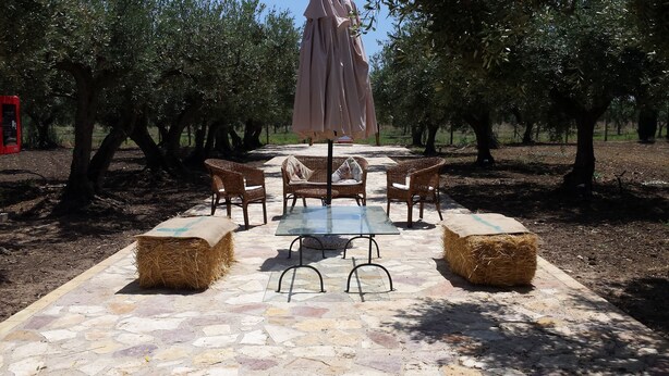 An outdoor seating area with a table and chairs, surrounded by trees. - Agrisicilia (Castelvetrano)