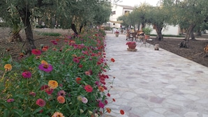 A pathway lined with vibrant flowers and trees, leading to a building with outdoor seating. - Agrisicilia (Castelvetrano)