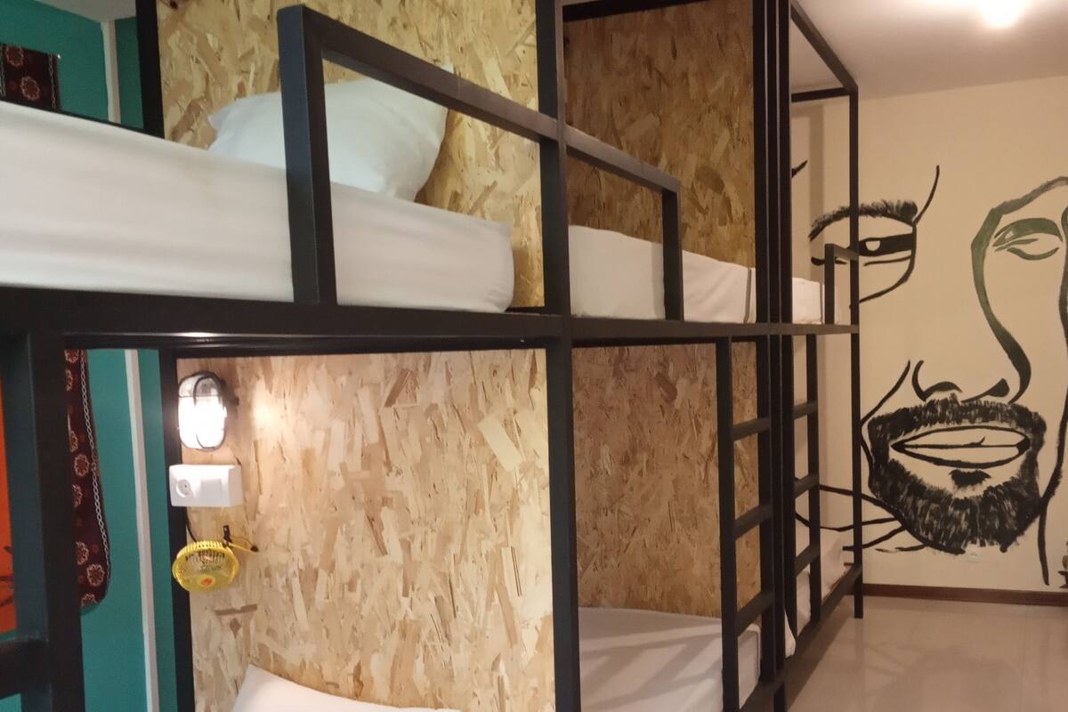 Standard Shared Dormitory, Mixed Dorm, City View | Individually decorated, free WiFi, bed sheets