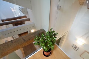 Una planta en maceta sobre un banco de madera en un espacio interior moderno con barandas de vidrio y una pared blanca.