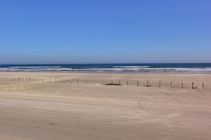 Uma praia arenosa com céu claro e oceano ao fundo.
