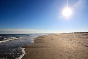 Beach - Walk The Plank PB109 (Port Aransas)