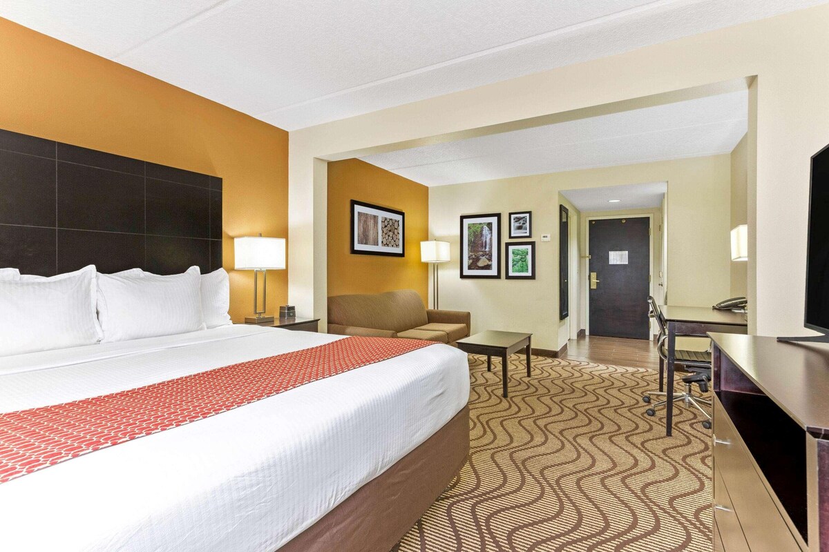 Une chambre d’hôtel avec un grand lit, un bureau, une chaise et un canapé.
