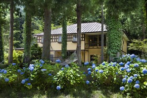 Uma casa de dois andares rodeada por vegetação exuberante e arbustos de hortênsia azuis.