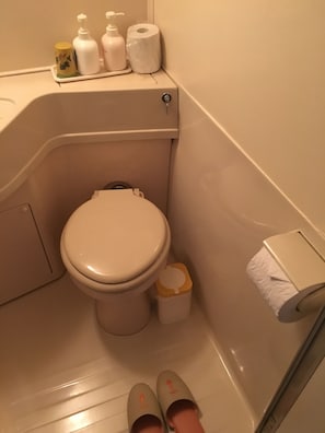 Hair dryer, slippers