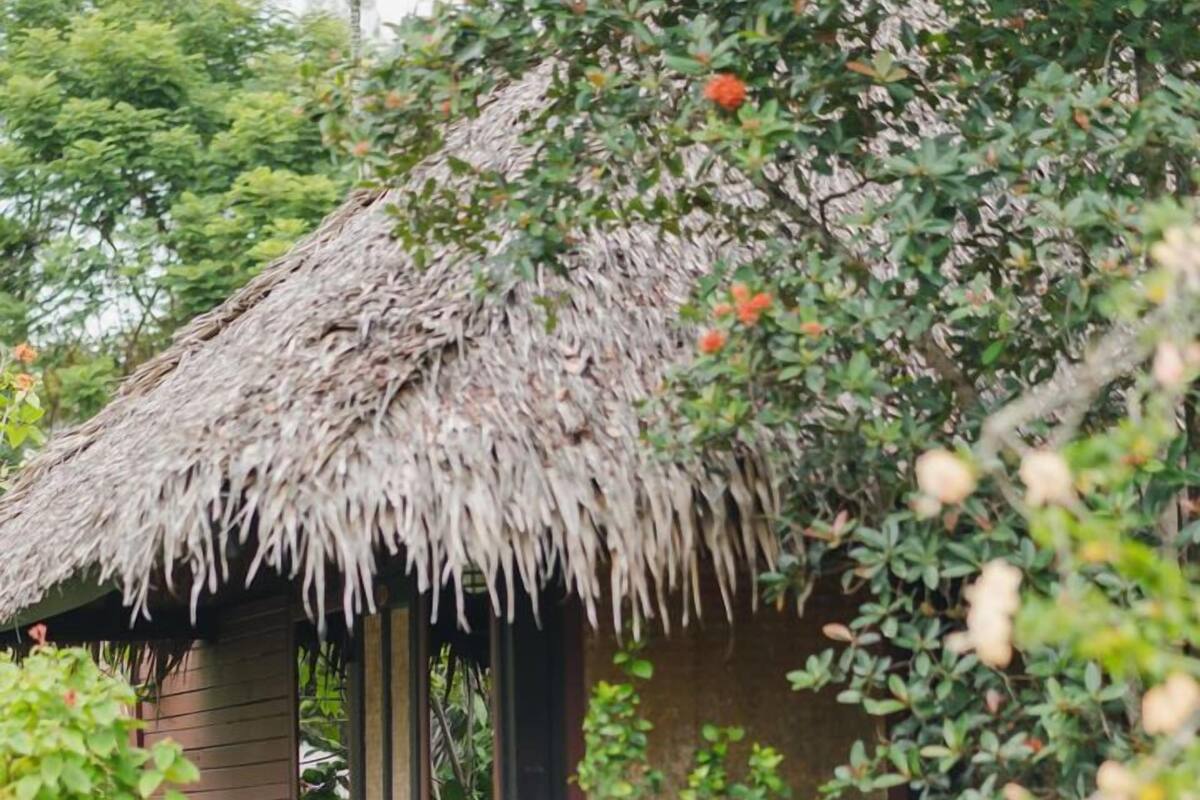 Garden View | 迷你吧、折叠床/加床（额外收费）、床单