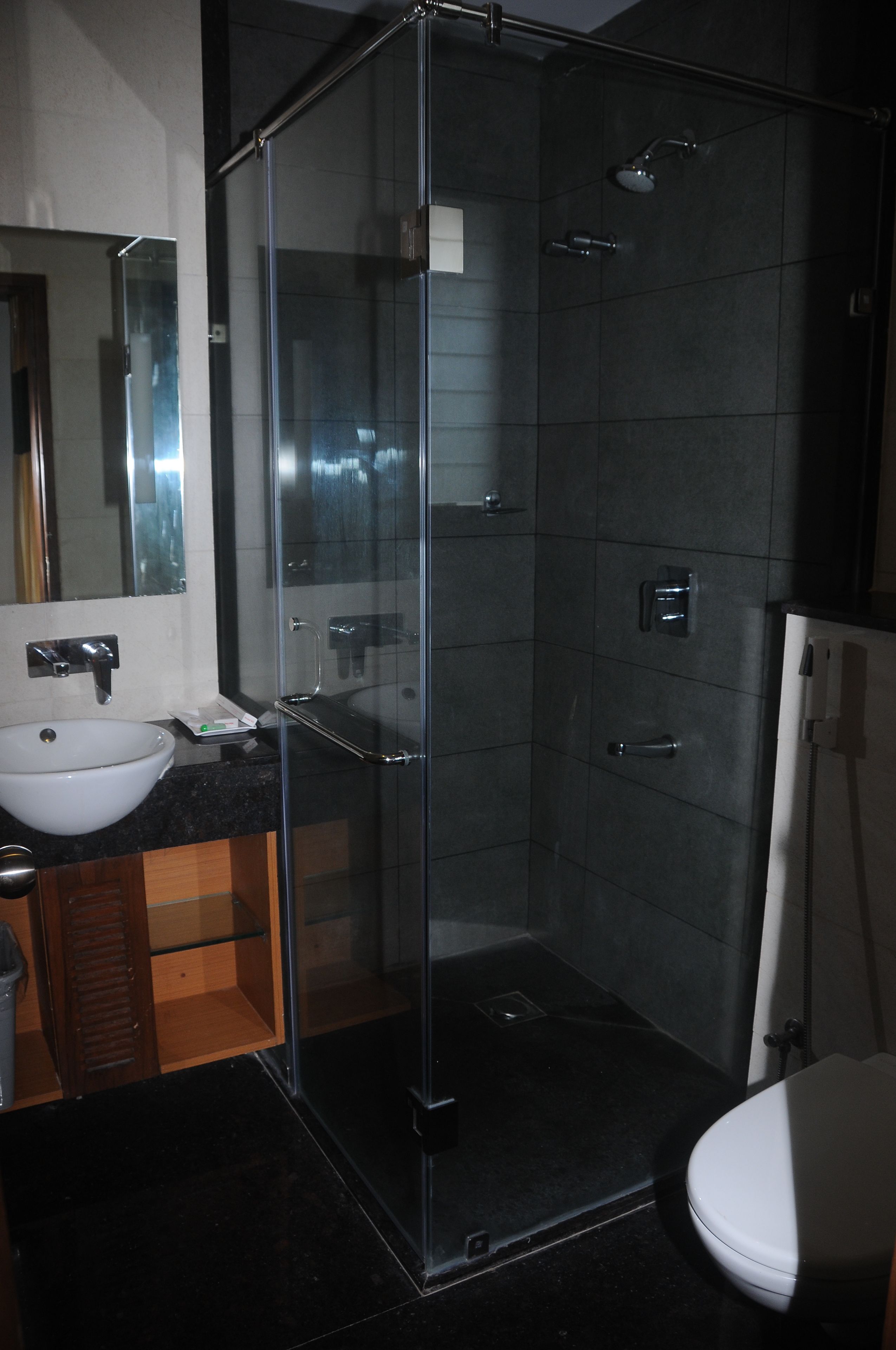 executive room | bathroom | shower, free toiletries, hair dryer, bidet
