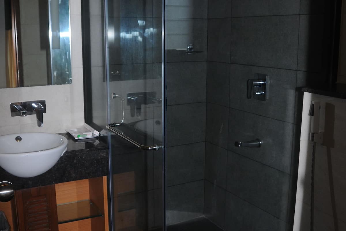 executive room | bathroom | shower, free toiletries, hair dryer, bidet