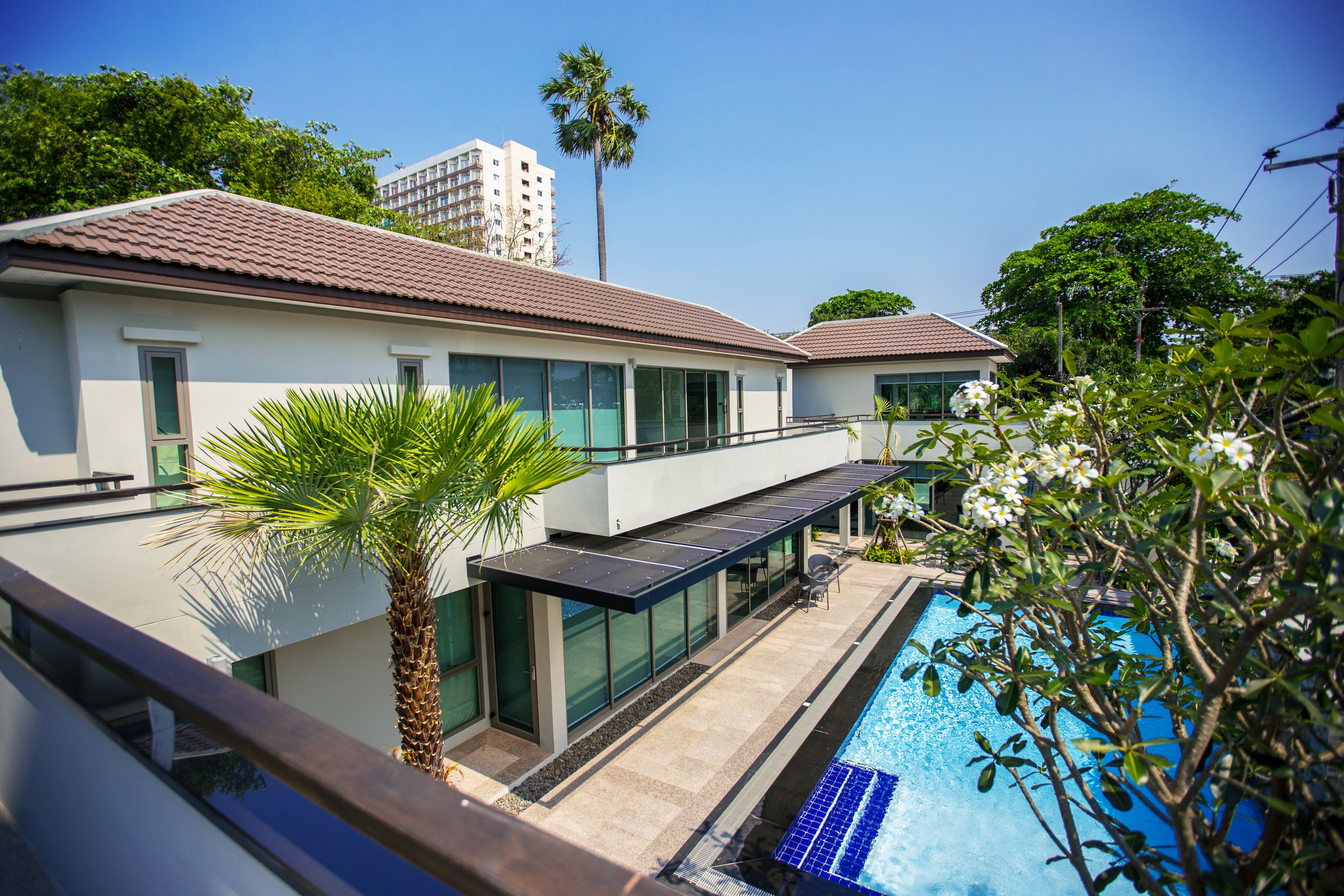 Une maison moderne avec une piscine, de grandes fenêtres et un palmier.