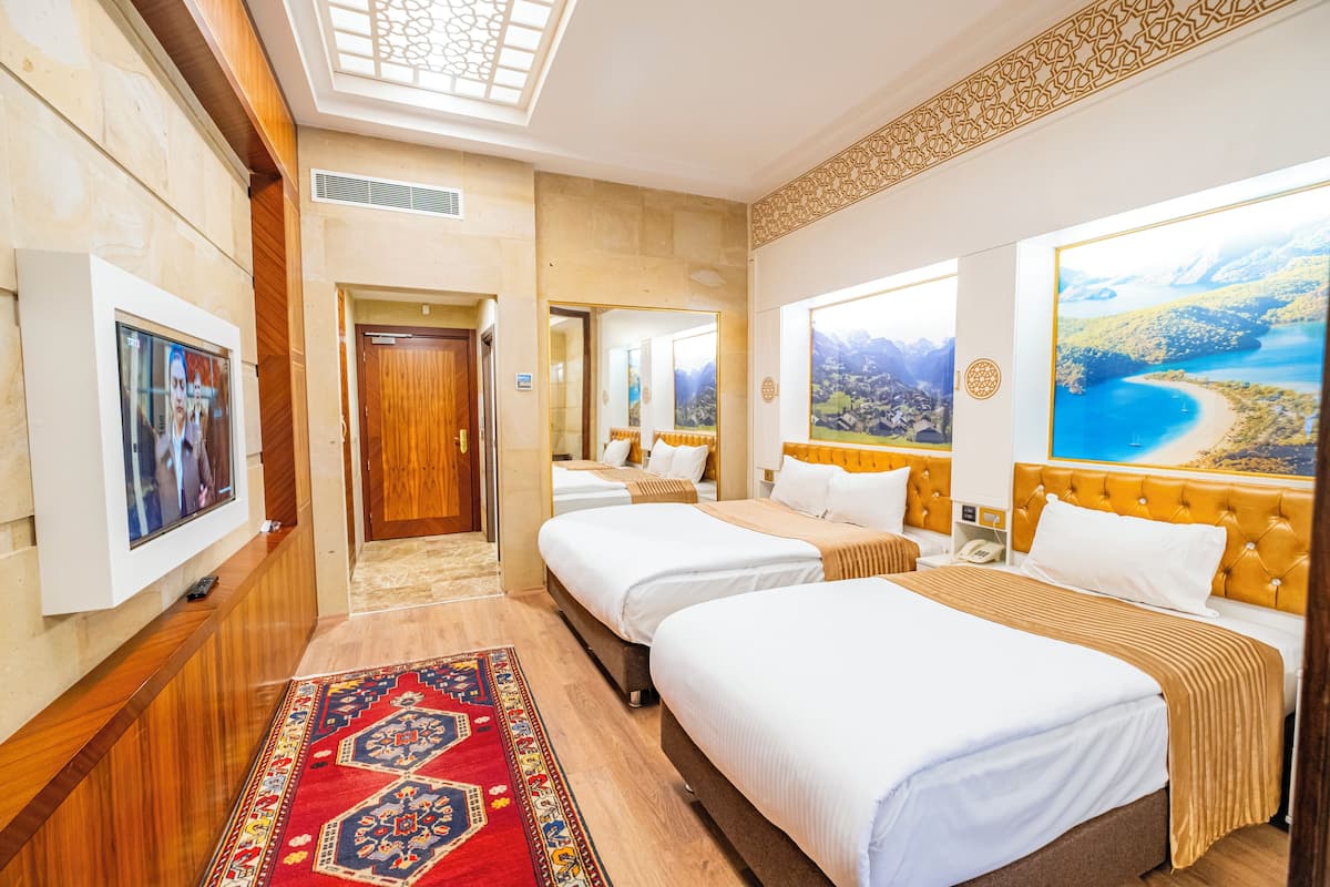 Habitación de hotel con dos camas, televisión, ventana grande con vista a la montaña y alfombra estampada.