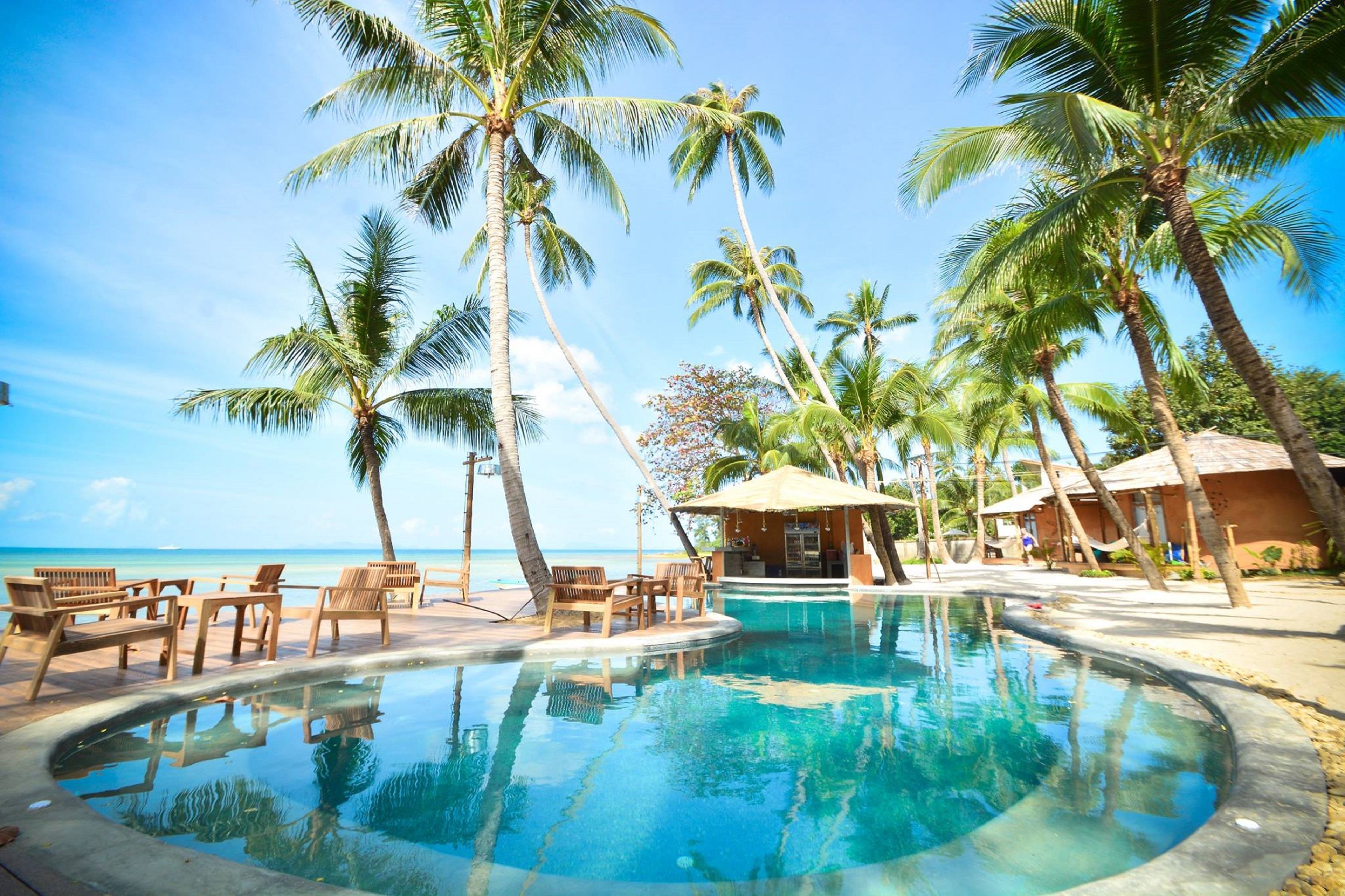 outdoor pool, pool loungers