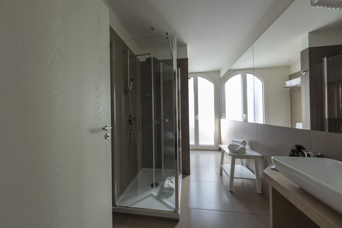 shower, free toiletries, hair dryer, bidet