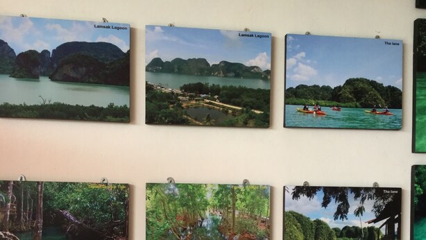 Een muur met zes ingelijste foto's van verschillende natuurlandschappen en een klok erboven.