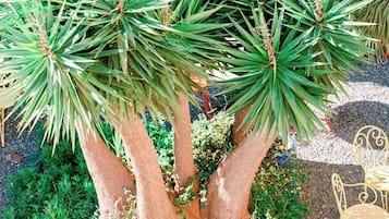 A garden with a large tree, multiple potted plants, and a metal chair.