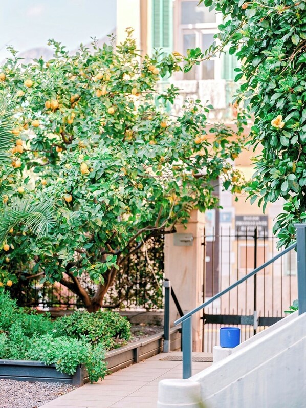 Terrace/patio - Hôtel Lemon (Menton)