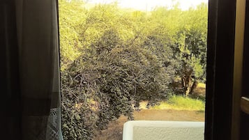 Vista da propriedade