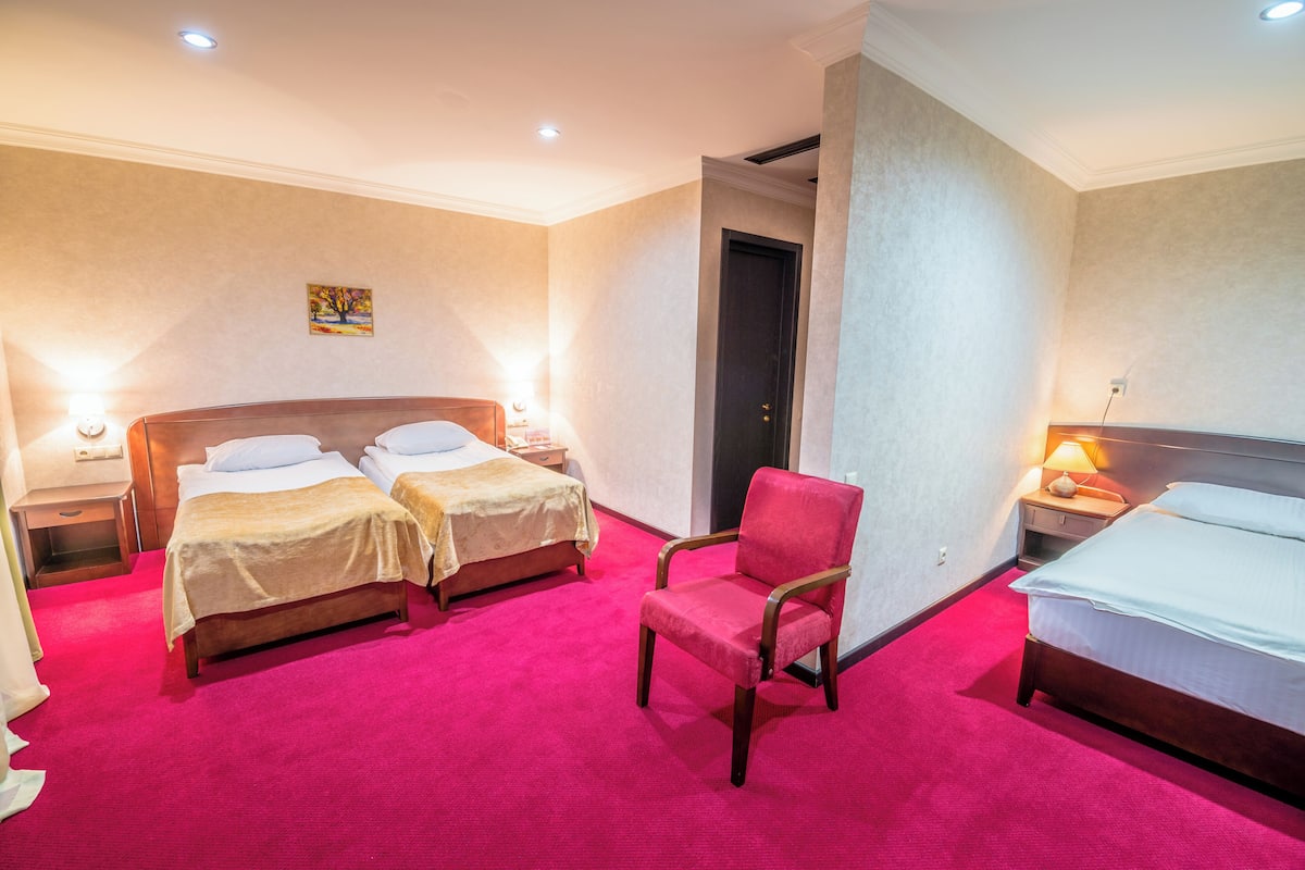 Tripla Standard (Building B) | 1 camera, minibar, una scrivania, insonorizzazione