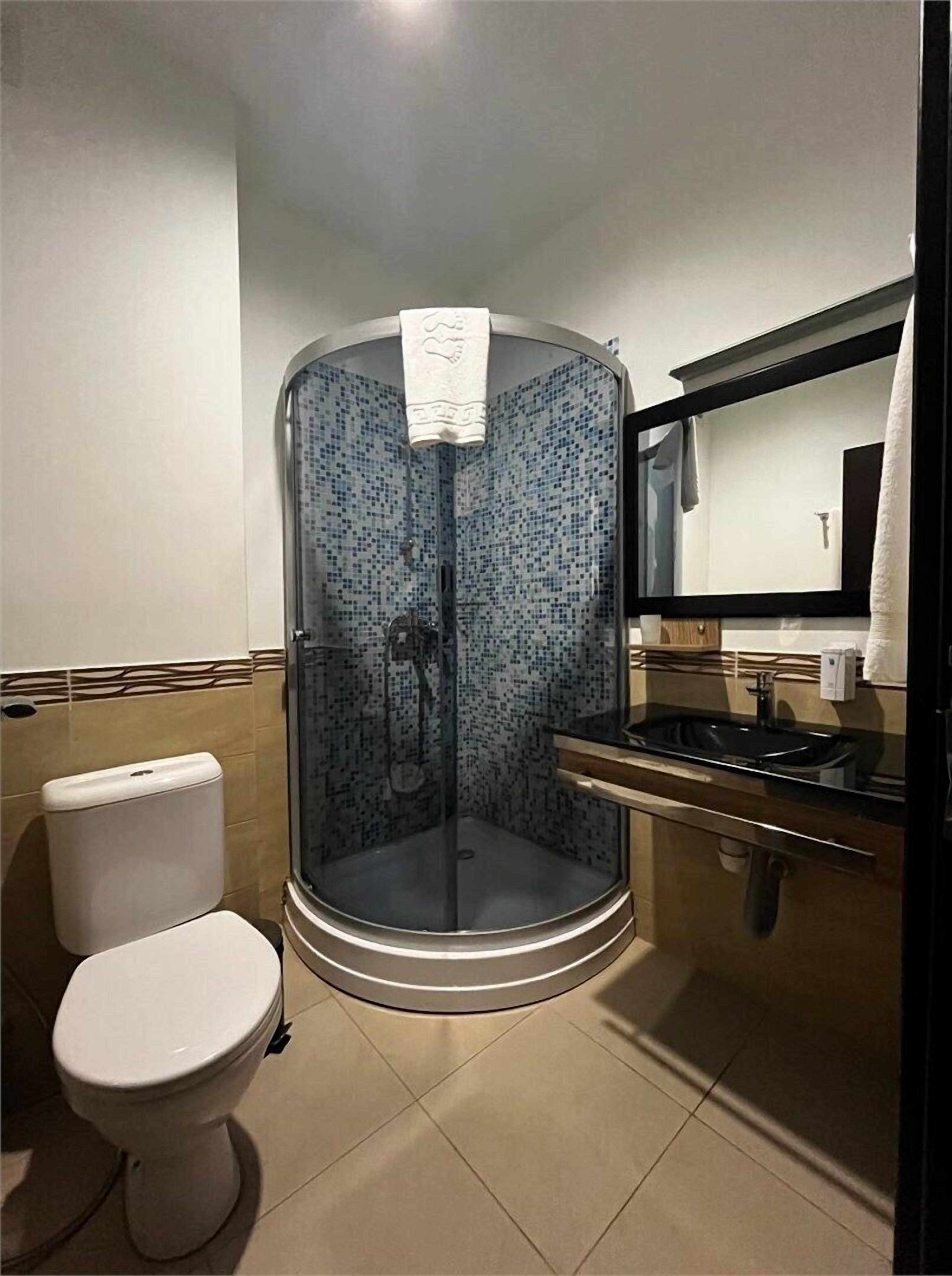 A bathroom with a glass-enclosed shower, a toilet, a sink, and a mirror.