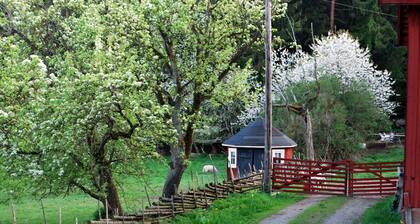 Smultronboda Fårgård