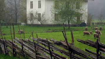 Vista frontal de la propiedad