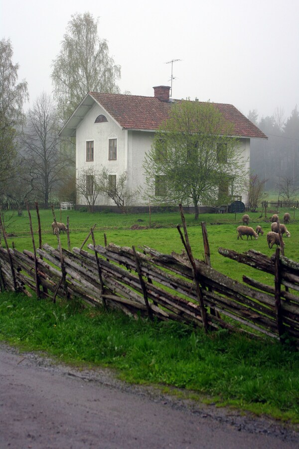 Smultronboda Fårgård - Kalmar län
