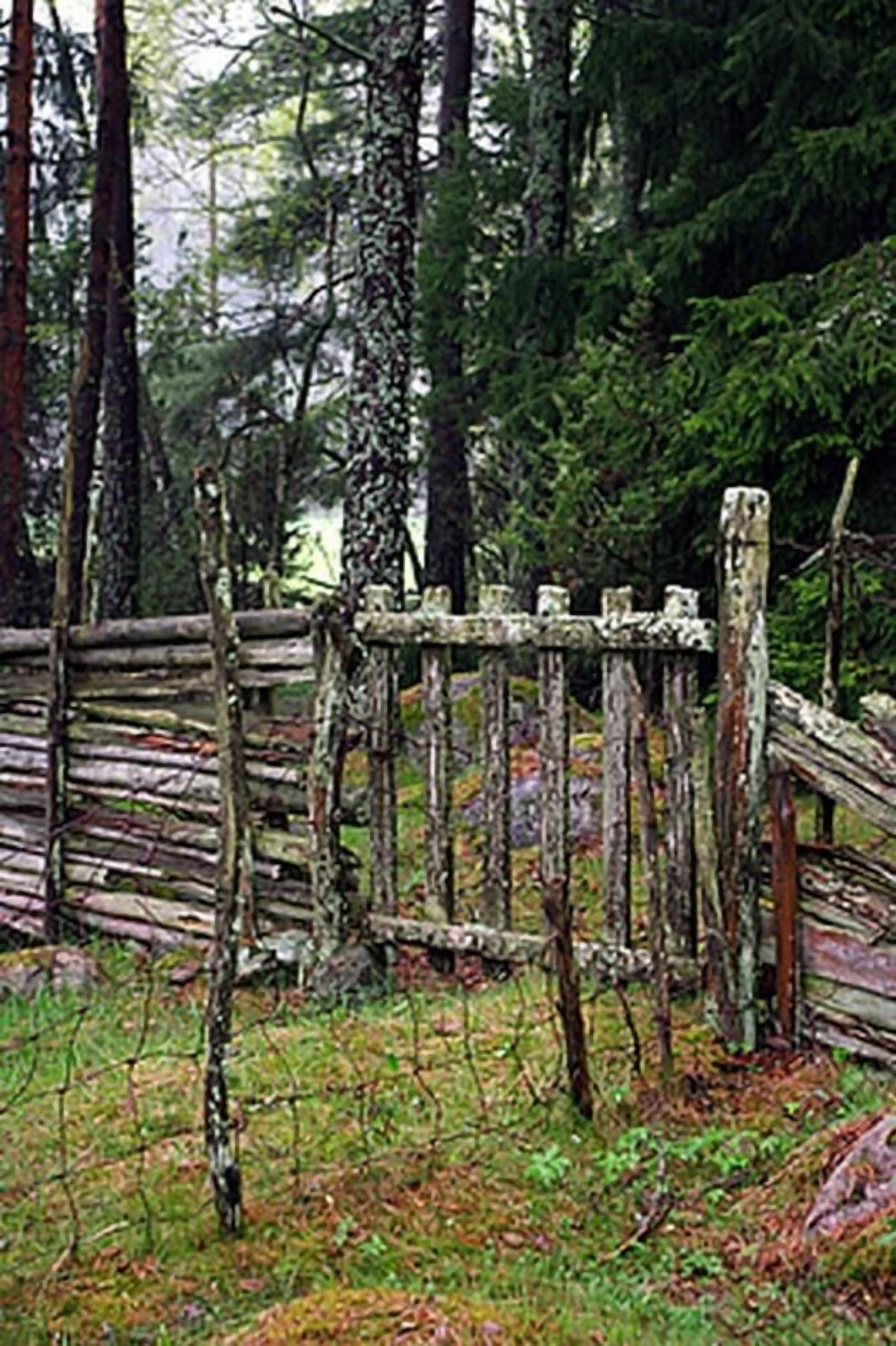 A rustic wooden fence in a forested area.