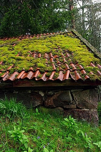 Smultronboda Fårgård