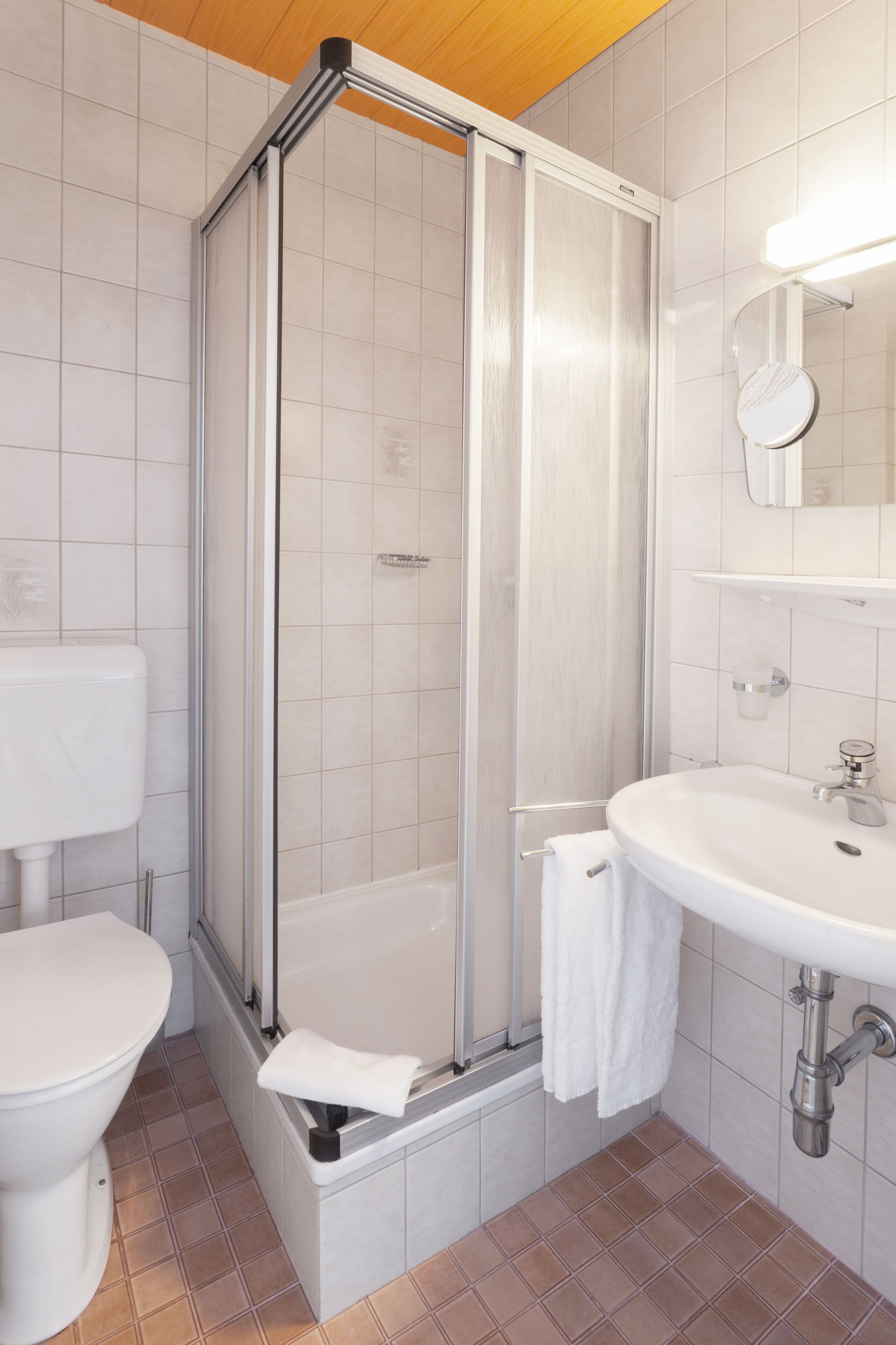Een badkamer met een douchecabine van glas, een witte wastafel en een toilet.