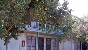 Un edificio con un porche, un hidrante y un árbol con frutos.
