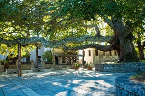 Front of property - En Chora Vezitsa (Zagori)
