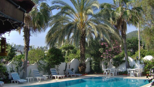 A swimming pool with lounge chairs and palm trees. - Murat Hotel (Kemer)