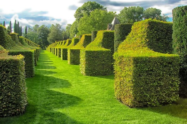 Terrein van de accommodatie