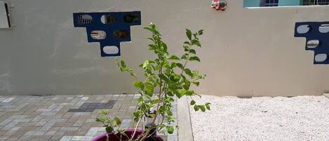 Vistas desde la habitación