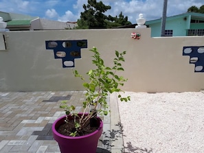 A potted plant in a purple pot on a tiled patio with a white wall featuring decorative cutouts and a small figurine.