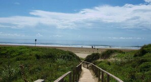 Una playa cerca